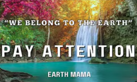 Pay Attention (Music Video by Joyce Rouse)